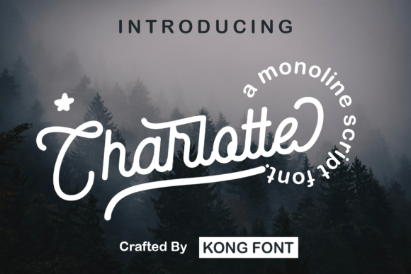 Charlotte: The Vintage Script Font for Delicate Designs